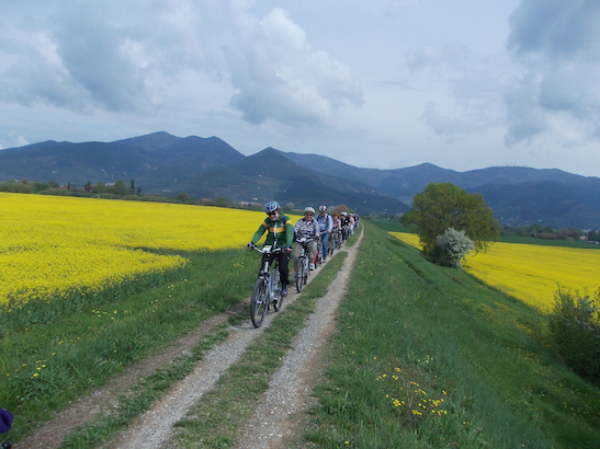 Tuscany Ebike - tours